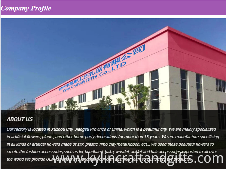 Company Profile